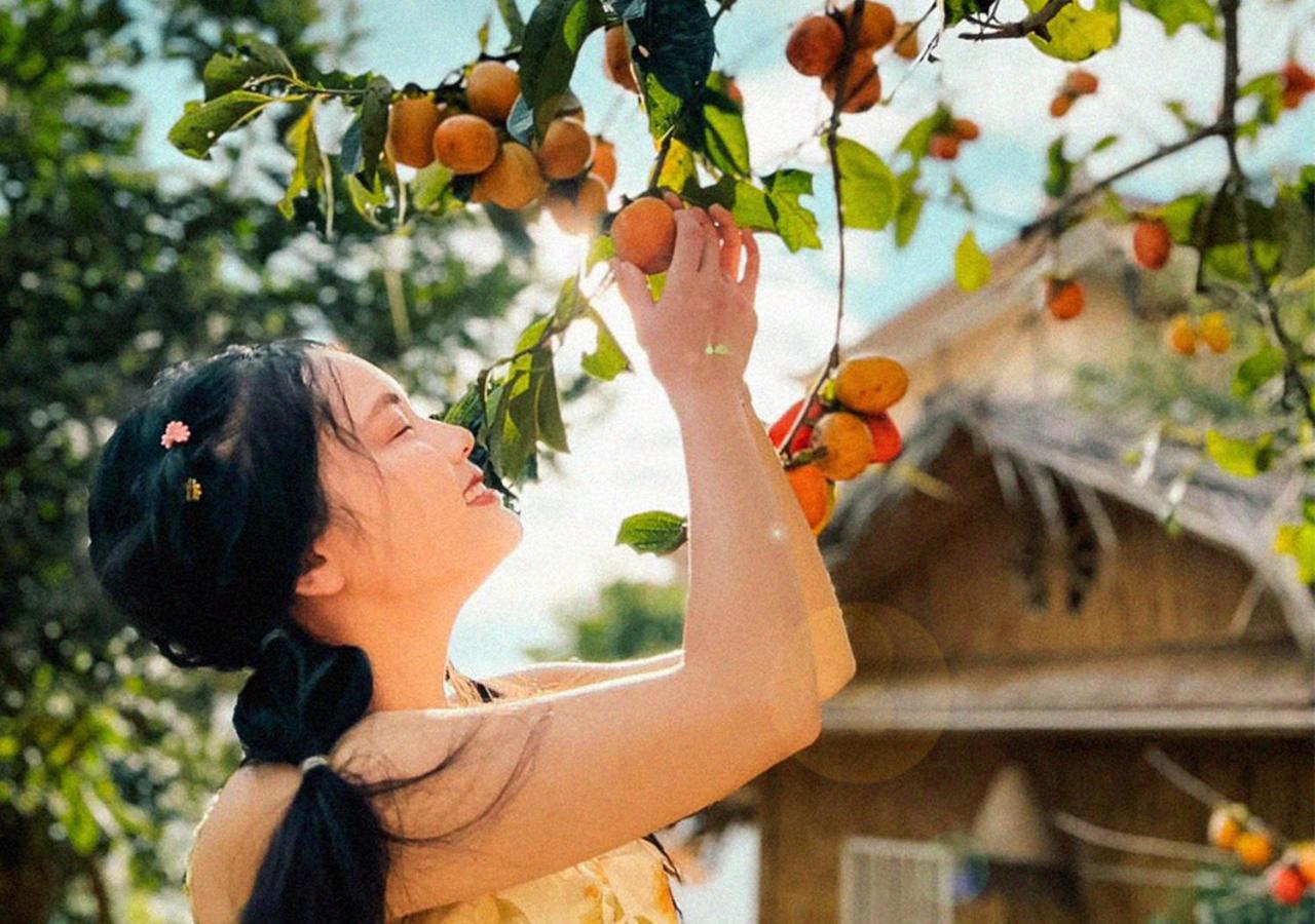 Nay Bungalow Dalat エクステリア 写真
